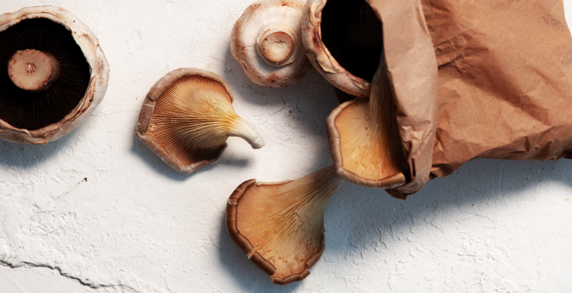 Mushrooms scattered on table