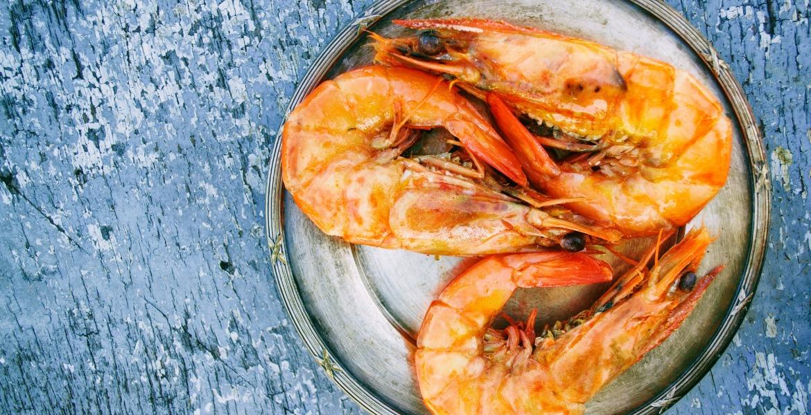 Plate of prawns on a blue table