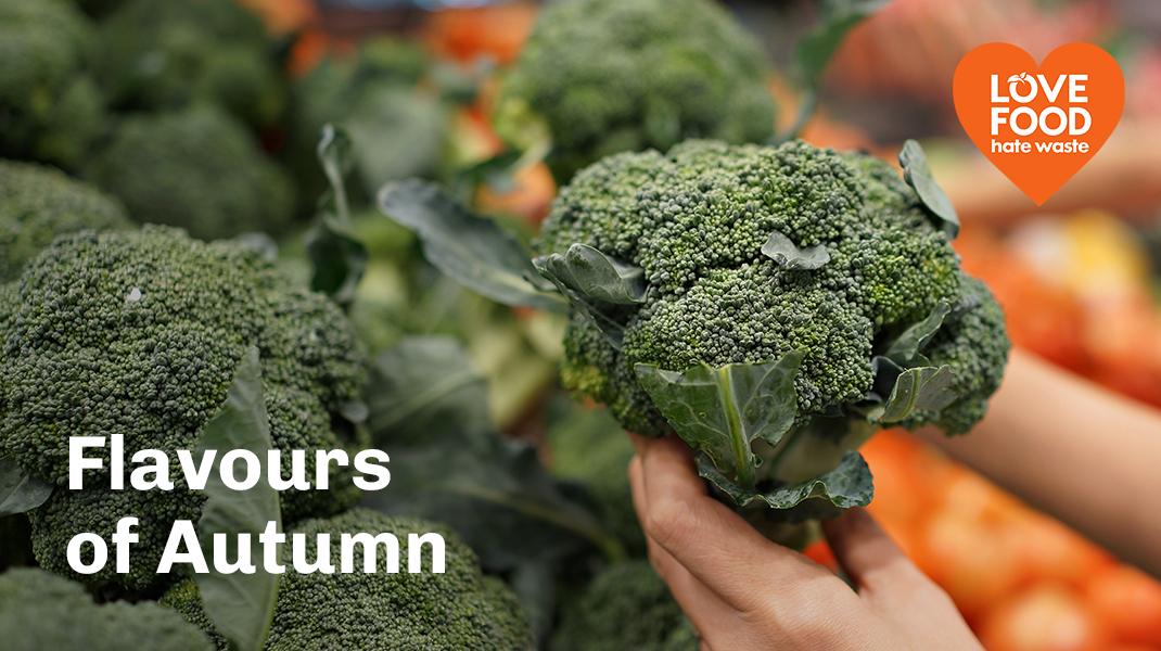 close up of person holding broccoli