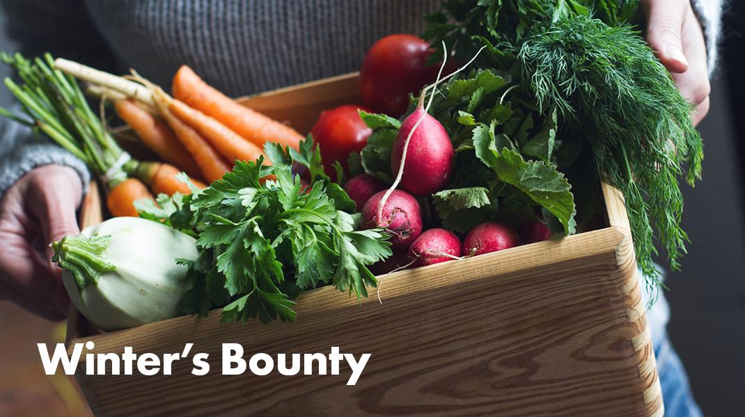 close up of person holding crate of winter produce